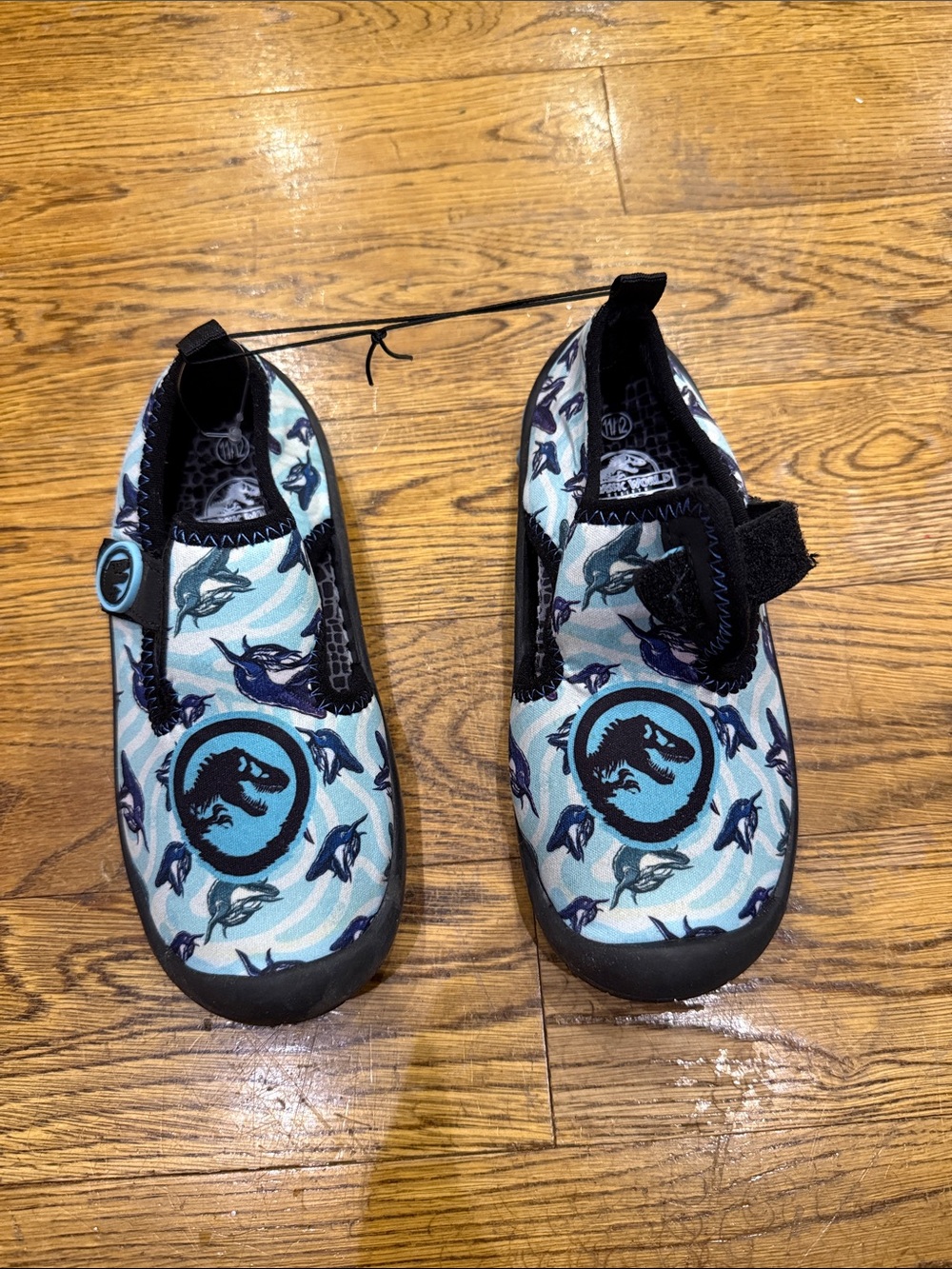 Kids Dino Water Shoes in Light Blue